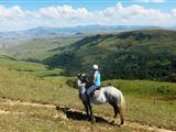 Stormy Hill Horse Trail in the Midlands KZN