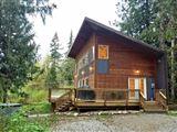 Mt. Baker Rim Cabin #58