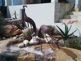 Birds on a Rock BnB