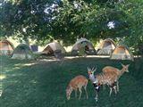 Jeugherberg Accomodatie in South Luangwa Nat Park