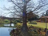 's Edge in Sabie