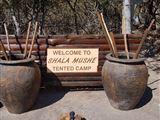 Shala Mushe @ 