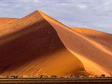 Desert Beach and Bush (Namibia)