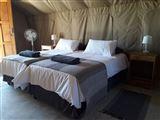 Blue Bushman Luxury Tented Loge & Camping