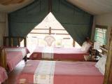 nGomo Safari Loge