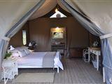 Plett's FireFly Luxury Safari Tents