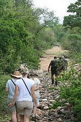 Tsakane Walking Safaris