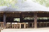 Honeyguide Ranger Camp