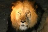 Shiduli Private Game Lodge