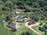 Bushwillow 
