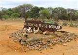 Madikwe River Lodge by Dream Resorts