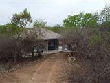 4230Impala Marloth Park