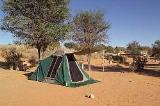 Twee Rivieren Rest Camp Kgalagadi Transfrontier Park SANParks