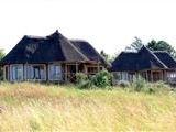 Rocky Aloe Loge
