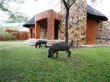 Hornbill Lodge