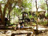 Off Beat Safaris 