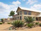 Aloe View Rock 