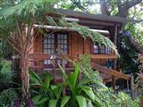 Crocodile Nest Bed and Breakfast