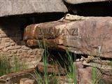 Duma Manzi Eco Loge und Spa