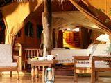 Semliki Safari Loge